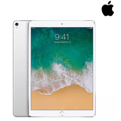 Apple iPad Pro (4 GB RAM / 256 GB ROM) 10.5 Screen - Silver